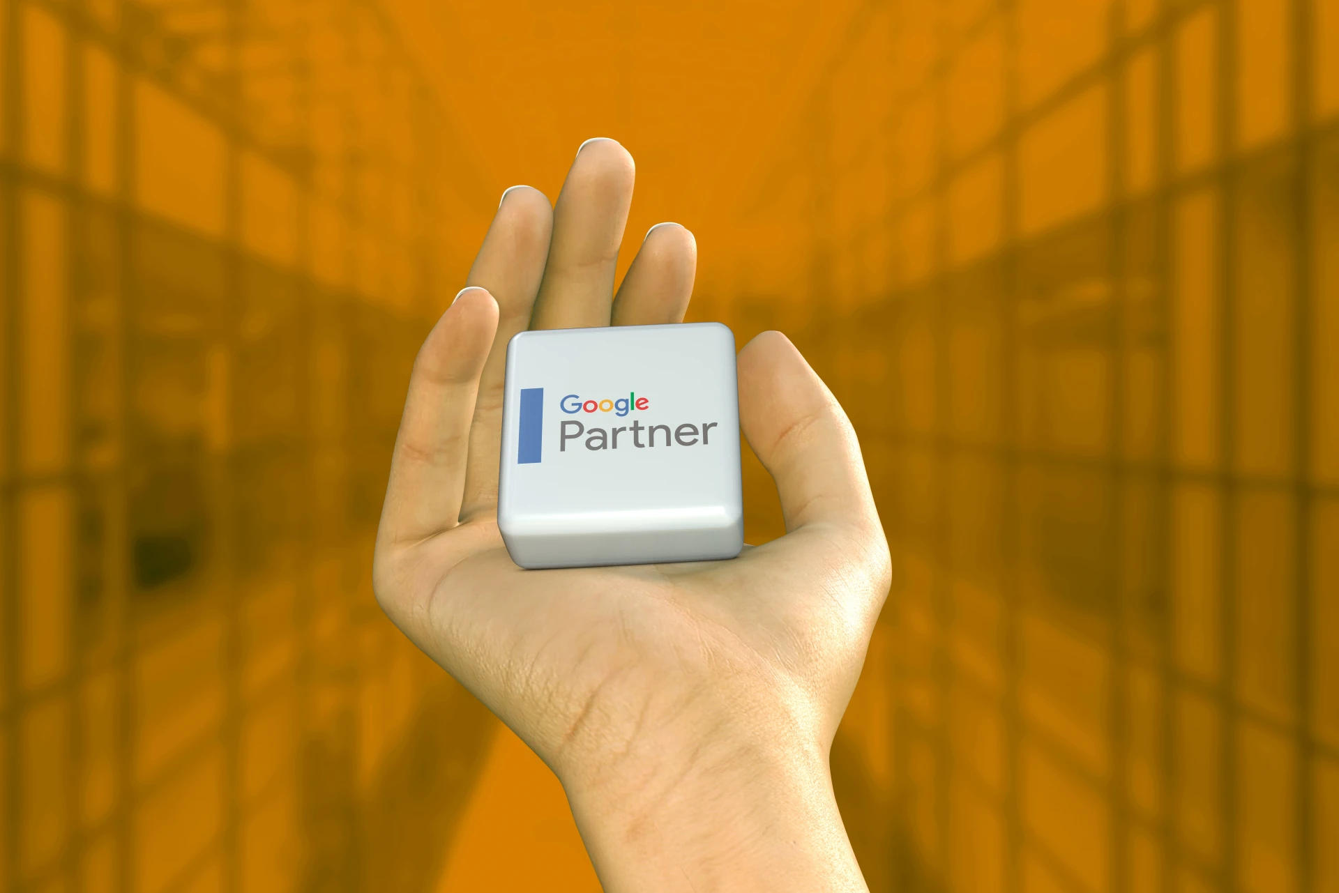 Branchenblitz Google Partner