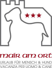 Firmengrafik Branchenverzeichnis