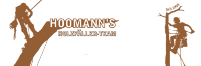 Firmengrafik Branchenverzeichnis